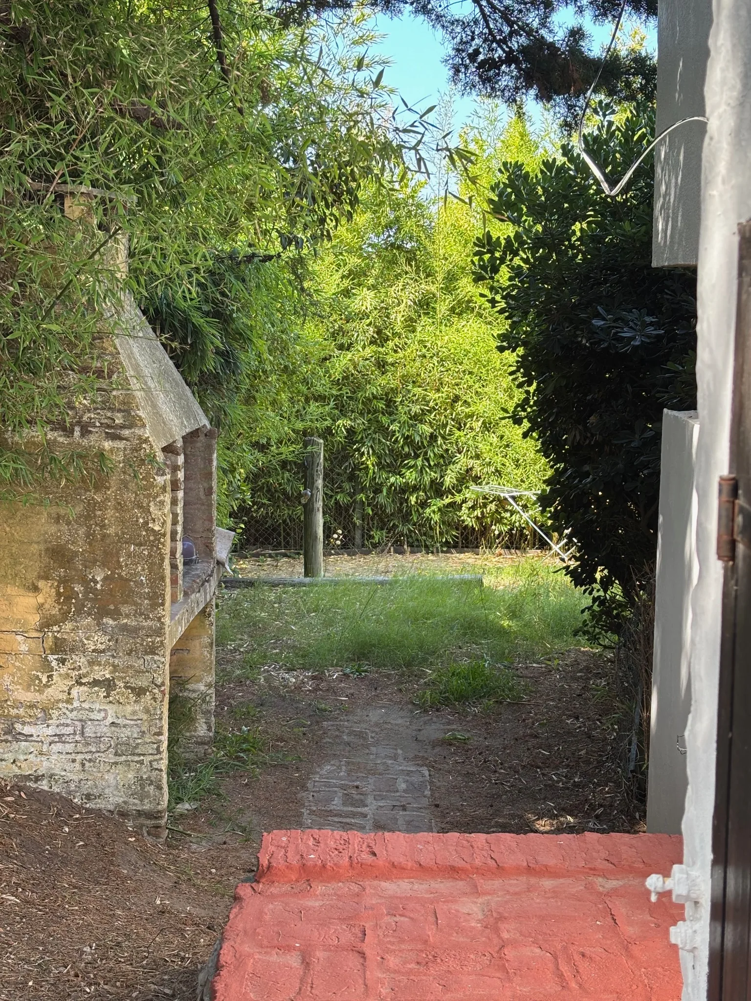 Parque trasero arbolado